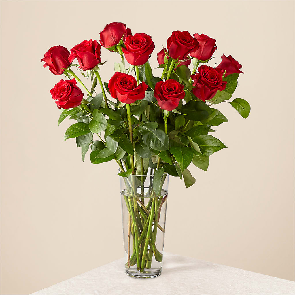 Long Stem Red Rose Bouquet – BURNETT'S FLOWERS & GIFTS, Tulsa OK