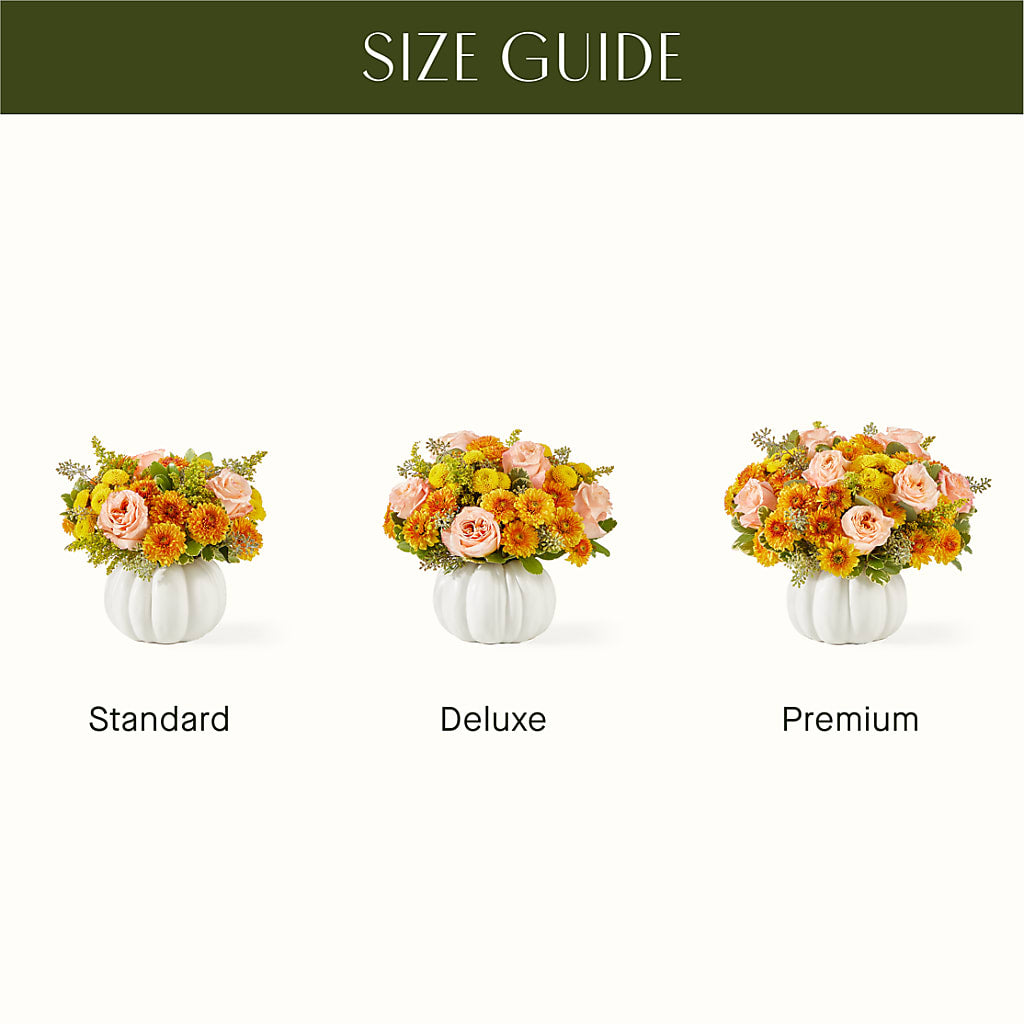 Peachy Pumpkin – BURNETT'S FLOWERS & GIFTS, Tulsa OK