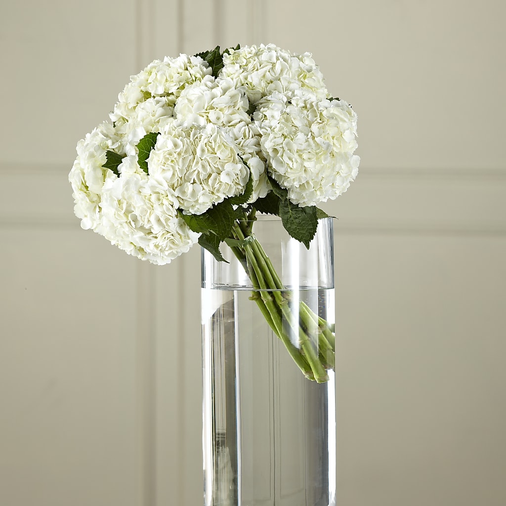 White Hydrangea Hand-Tied Bouquet – BURNETT'S FLOWERS & GIFTS, Tulsa OK