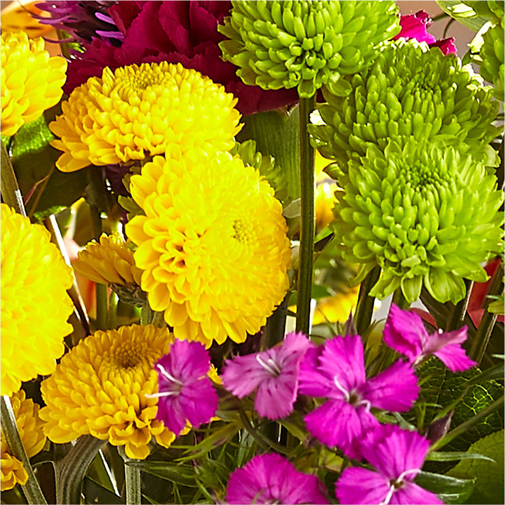 Bold & Bright – A Florist Original – BURNETT'S FLOWERS & GIFTS, Tulsa OK