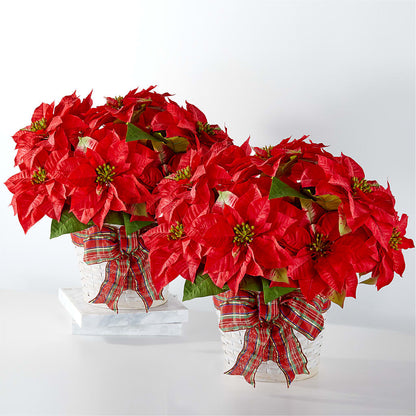 Happiest Holidays Poinsettia Bundle – BURNETT'S FLOWERS & GIFTS, Tulsa OK
