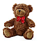 Adorable Plush Bear – BURNETT'S FLOWERS & GIFTS, Tulsa OK