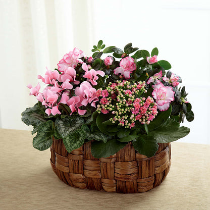 Pink Assortment – BURNETT'S FLOWERS & GIFTS, Tulsa OK