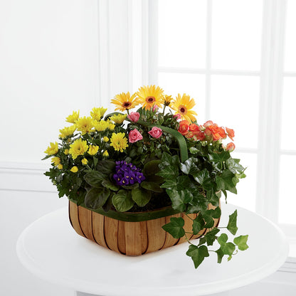 Gentle Blossoms Basket – BURNETT'S FLOWERS & GIFTS, Tulsa OK