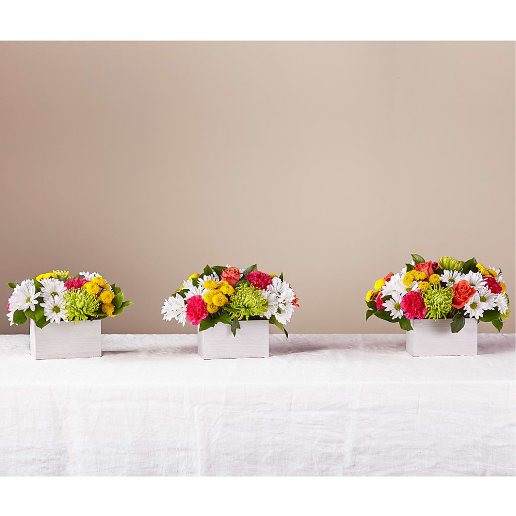 Sorbet Bouquet – BURNETT'S FLOWERS & GIFTS, Tulsa OK