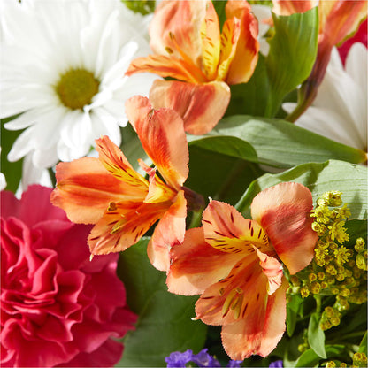 Oopsie Daisy Box Bouquet – BURNETT'S FLOWERS & GIFTS, Tulsa OK