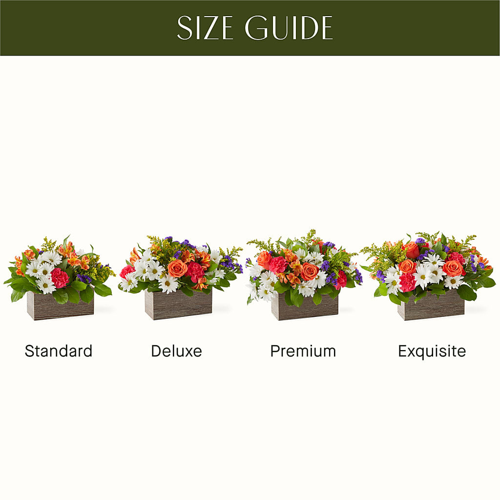 Oopsie Daisy Box Bouquet – BURNETT'S FLOWERS & GIFTS, Tulsa OK