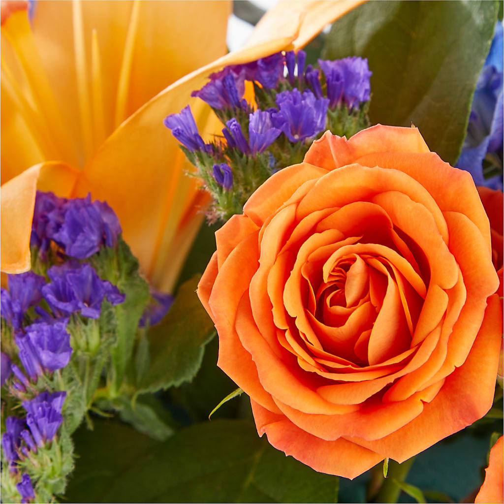 Radiant Citrus Box Bouquet – BURNETT'S FLOWERS & GIFTS, Tulsa OK