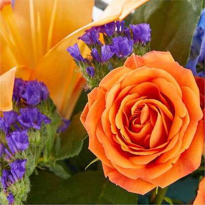 Radiant Citrus Box Bouquet – BURNETT'S FLOWERS & GIFTS, Tulsa OK