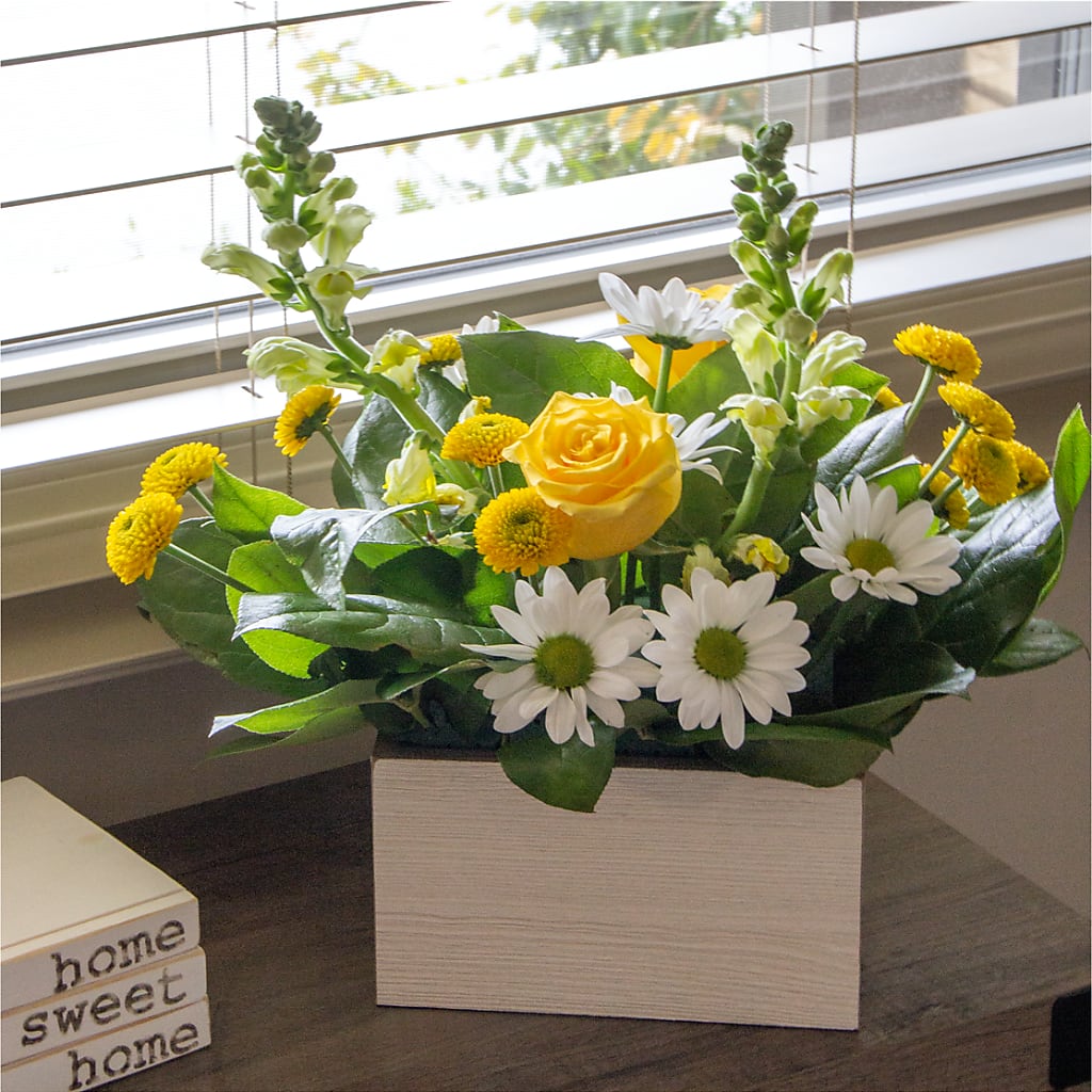 Sun Salutation Box Bouquet – BURNETT'S FLOWERS & GIFTS, Tulsa OK