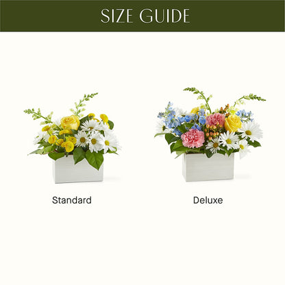 Sun Salutation Box Bouquet – BURNETT'S FLOWERS & GIFTS, Tulsa OK