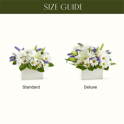 Beyond Blue Box Bouquet – BURNETT'S FLOWERS & GIFTS, Tulsa OK