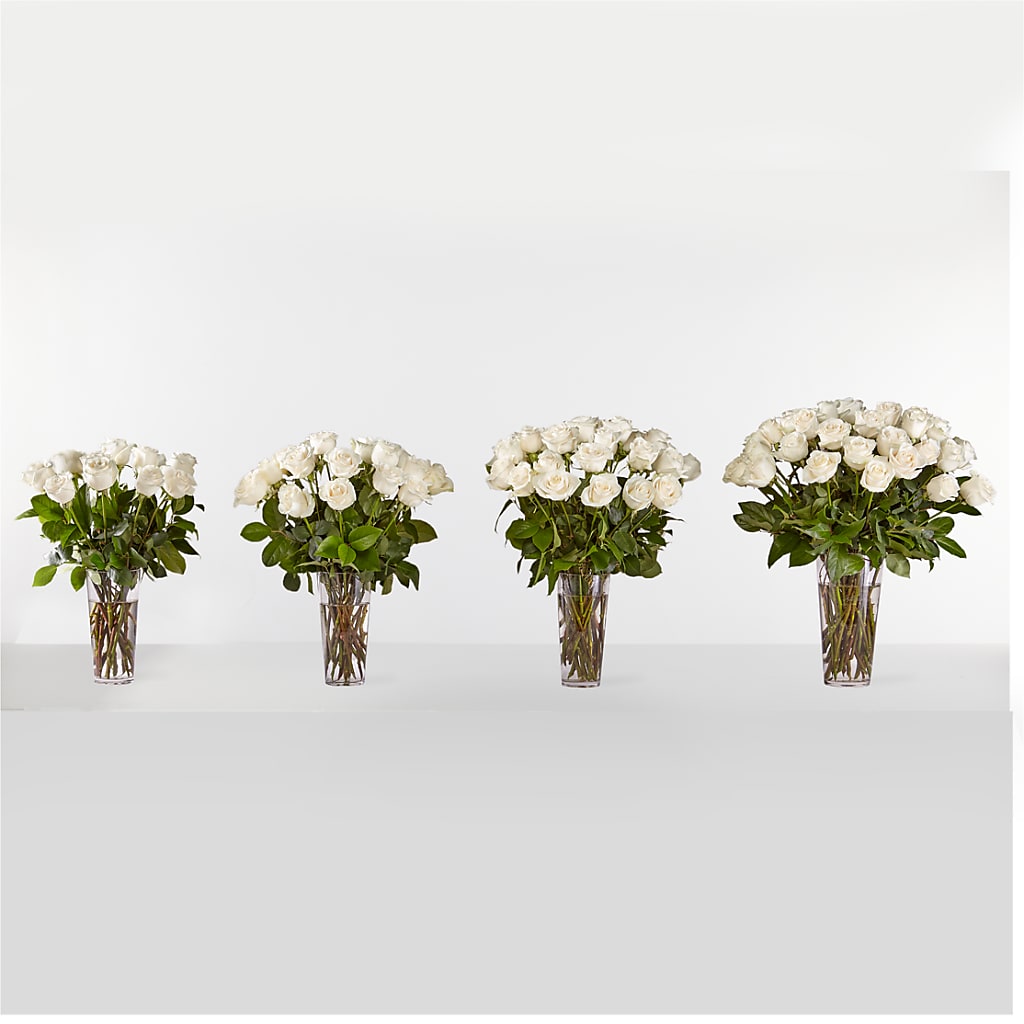 Long Stem White Rose Bouquet – BURNETT'S FLOWERS & GIFTS, Tulsa OK