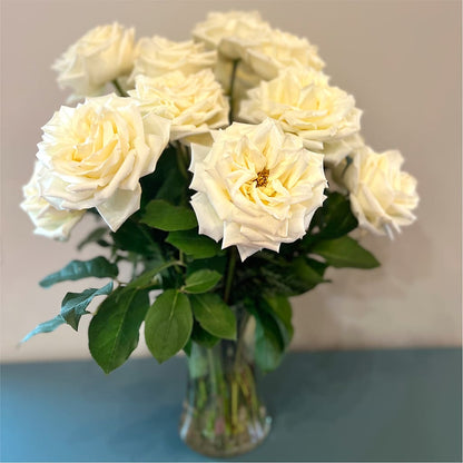 Long Stem Yellow Rose Bouquet – BURNETT'S FLOWERS & GIFTS, Tulsa OK