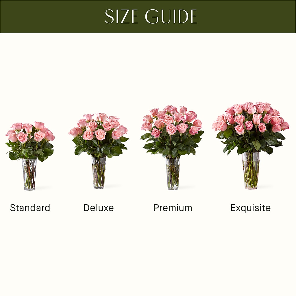 Long Stem Pink Rose Bouquet – BURNETT'S FLOWERS & GIFTS, Tulsa OK