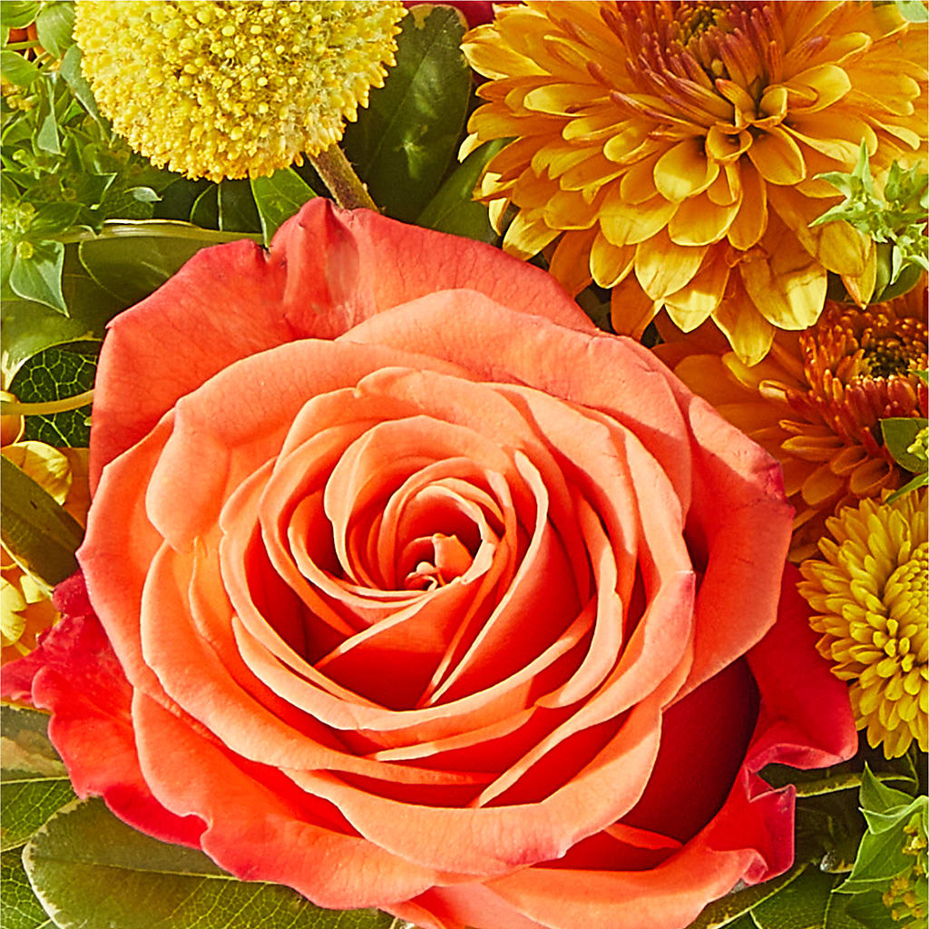 Gourdgeous Pumpkin – BURNETT'S FLOWERS & GIFTS, Tulsa OK