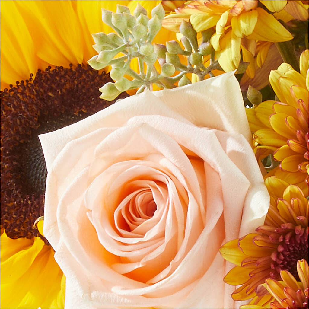 Pumpkin to Talk About Bouquet – BURNETT'S FLOWERS & GIFTS, Tulsa OK