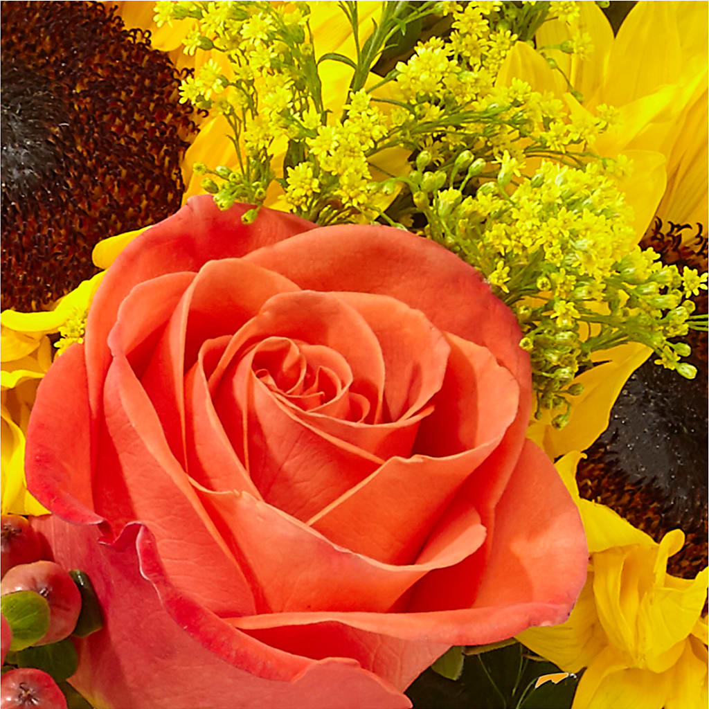 Pick of the Patch Pumpkin Bouquet – BURNETT'S FLOWERS & GIFTS, Tulsa OK