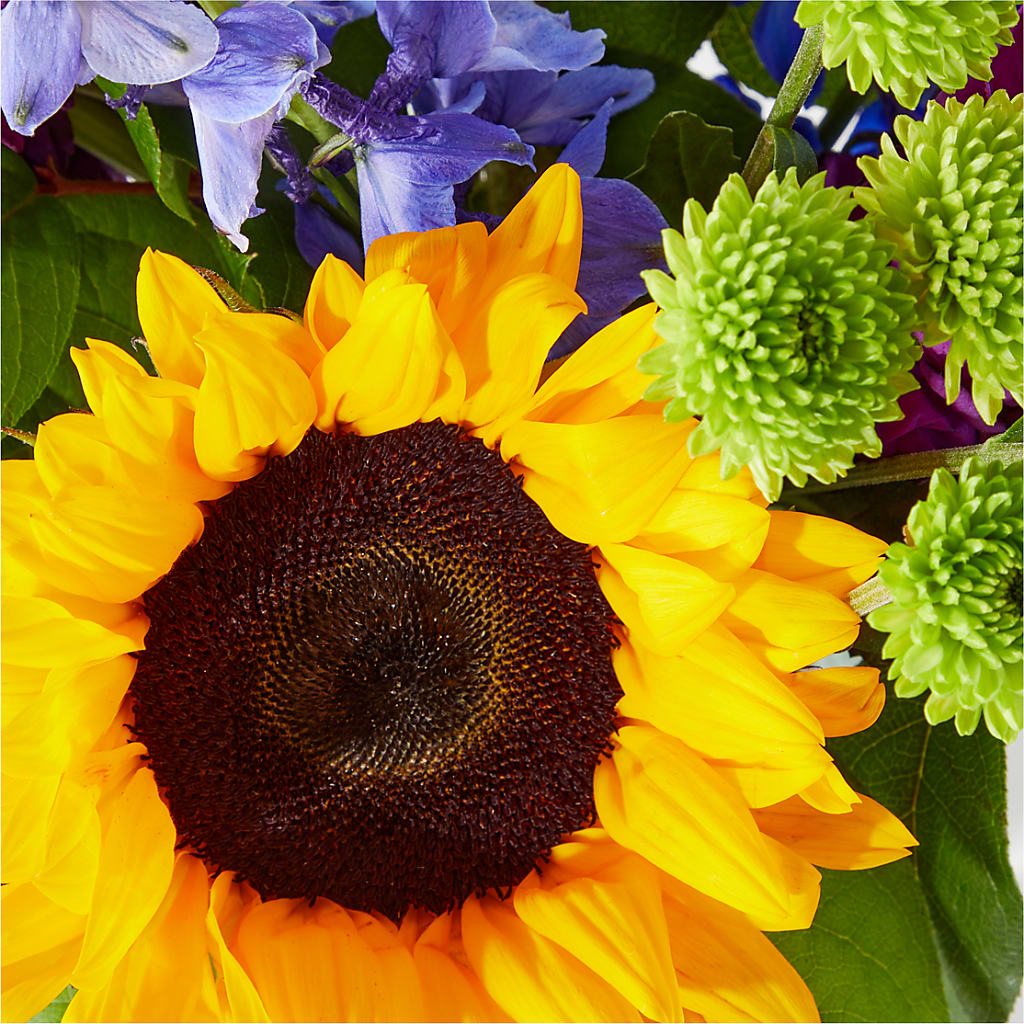Catching Rays Bouquet – BURNETT'S FLOWERS & GIFTS, Tulsa OK