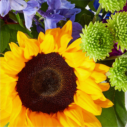 Catching Rays Bouquet – BURNETT'S FLOWERS & GIFTS, Tulsa OK