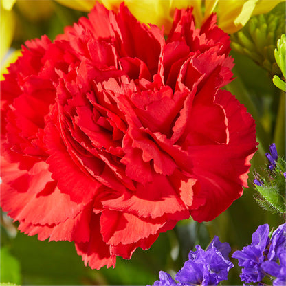 Brighter Days Bouquet – BURNETT'S FLOWERS & GIFTS, Tulsa OK