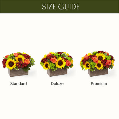 Happy Harvest Garden – BURNETT'S FLOWERS & GIFTS, Tulsa OK