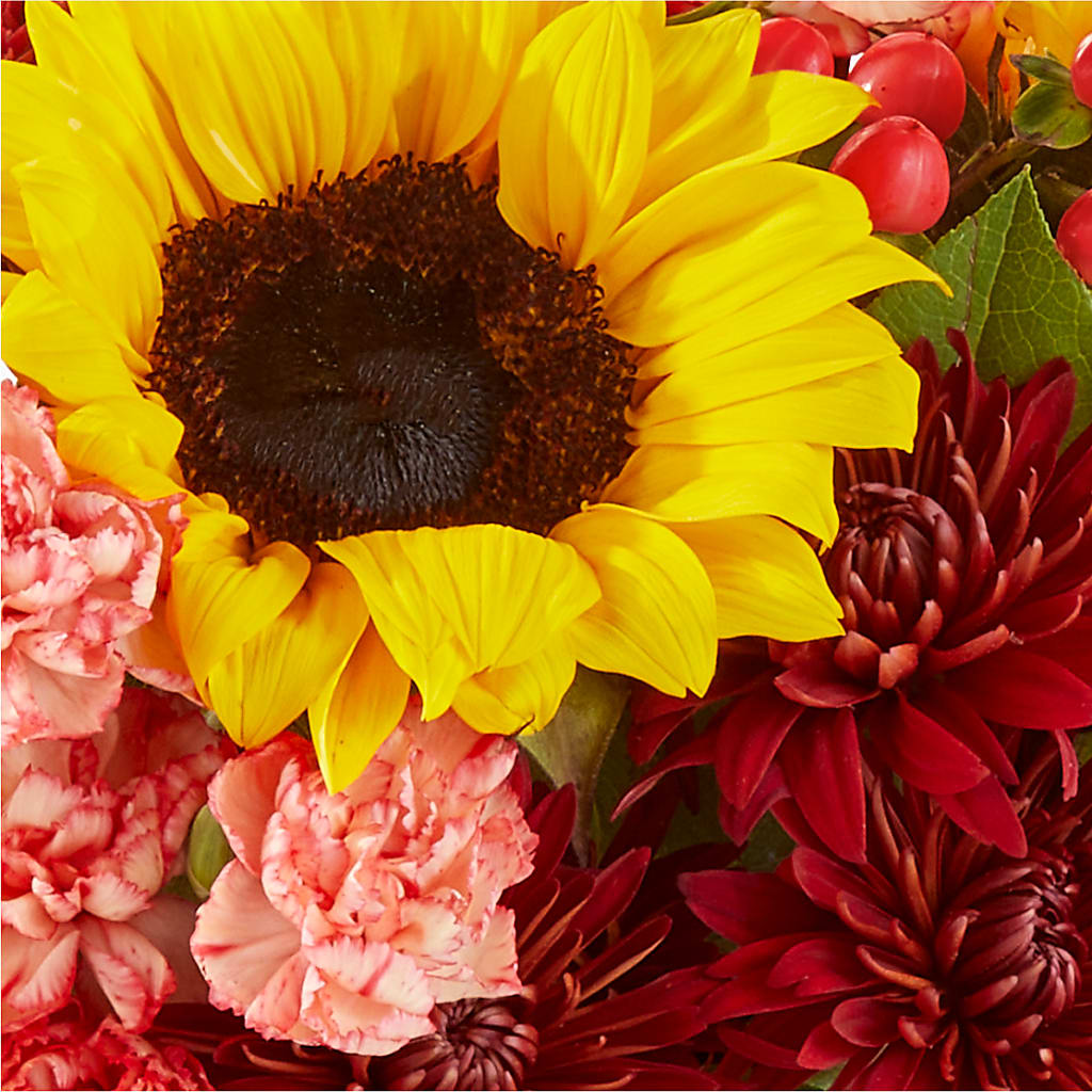 Fresh Cider Bouquet – BURNETT'S FLOWERS & GIFTS, Tulsa OK