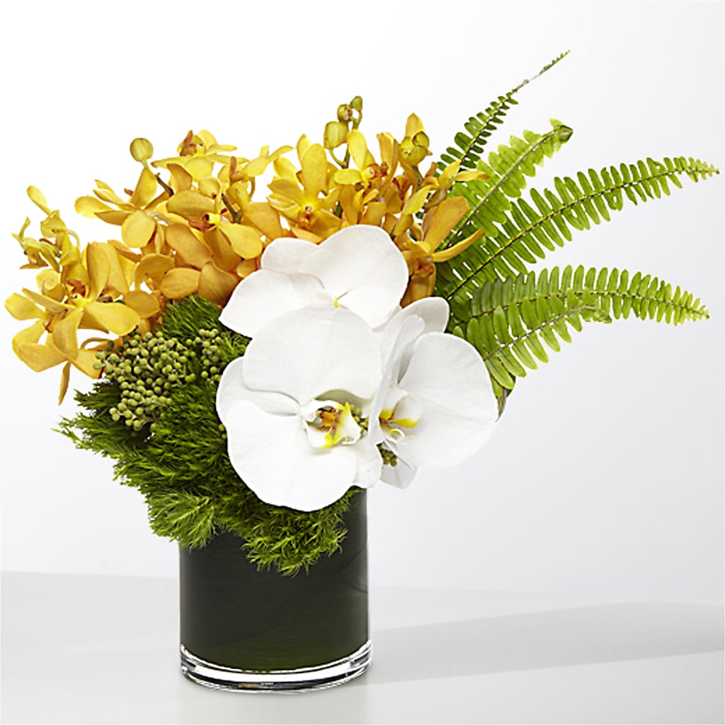 The Tropics – BURNETT'S FLOWERS & GIFTS, Tulsa OK