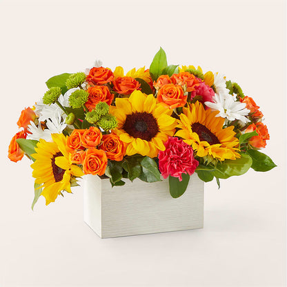Sun-drenched Blooms Box Bouquet – BURNETT'S FLOWERS & GIFTS, Tulsa OK