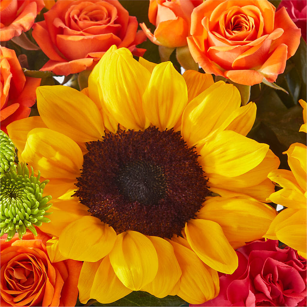 Sun-drenched Blooms Box Bouquet – BURNETT'S FLOWERS & GIFTS, Tulsa OK