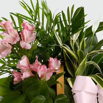 Living Spirit Dishgarden – BURNETT'S FLOWERS & GIFTS, Tulsa OK