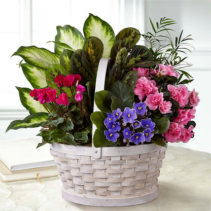 Peaceful Garden Planter – BURNETT'S FLOWERS & GIFTS, Tulsa OK