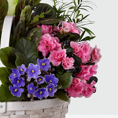 Peaceful Garden Planter – BURNETT'S FLOWERS & GIFTS, Tulsa OK
