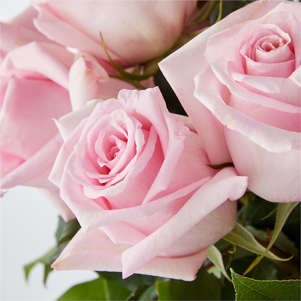 Picture Perfect Pink Rose Bouquet – BURNETT'S FLOWERS & GIFTS, Tulsa OK