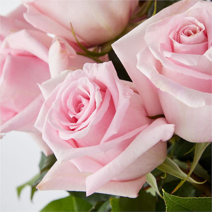 Picture Perfect Pink Rose Bouquet – BURNETT'S FLOWERS & GIFTS, Tulsa OK