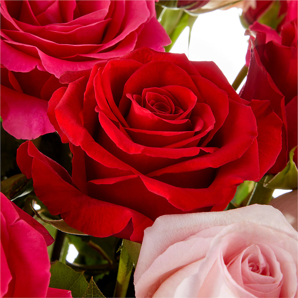 Love Notes Rose Bouquet – BURNETT'S FLOWERS & GIFTS, Tulsa OK