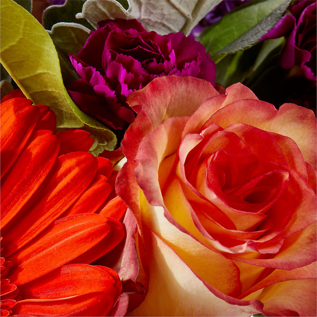 Sangria Bouquet – BURNETT'S FLOWERS & GIFTS, Tulsa OK