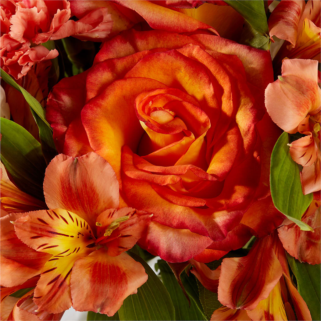 Apricot Glow Bouquet – BURNETT'S FLOWERS & GIFTS, Tulsa OK