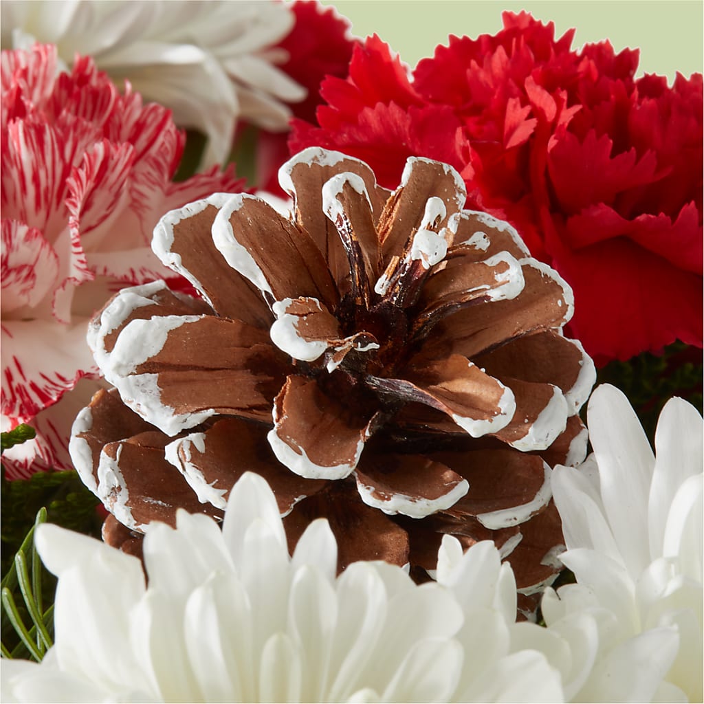 Candy Cane Lane Bouquet – BURNETT'S FLOWERS & GIFTS, Tulsa OK