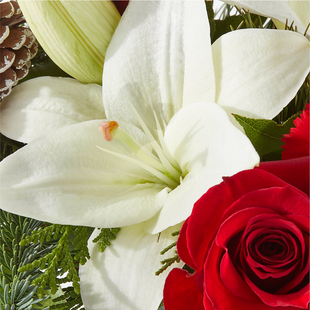 Oh So Jolly Bouquet – BURNETT'S FLOWERS & GIFTS, Tulsa OK