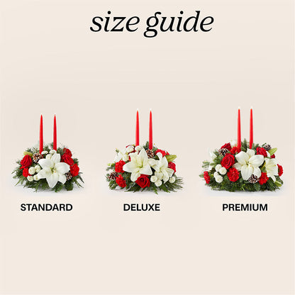 Seasonal Festivities Centerpiece – BURNETT'S FLOWERS & GIFTS, Tulsa OK