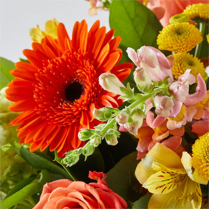 Autumn Sunshine Bouquet – BURNETT'S FLOWERS & GIFTS, Tulsa OK