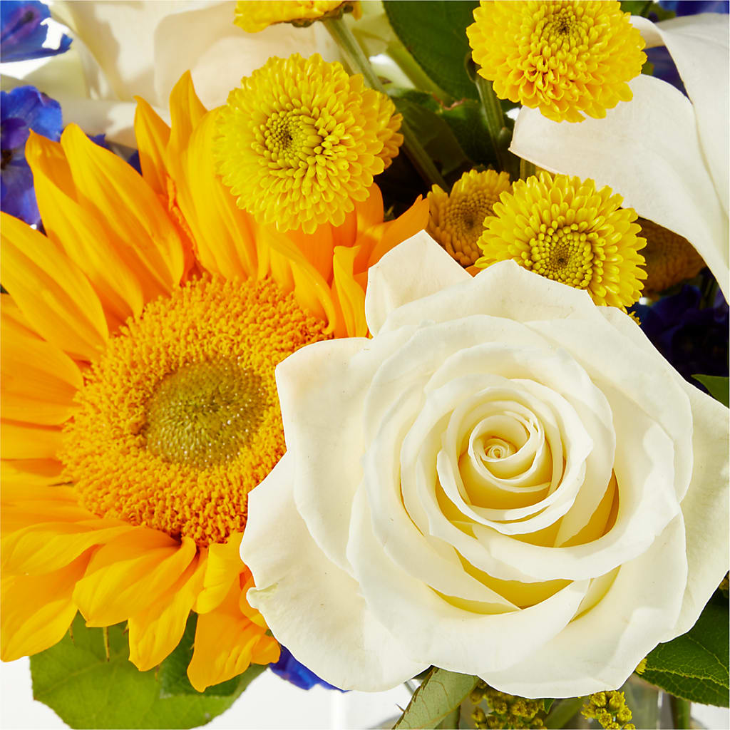 Stargazing Bouquet – BURNETT'S FLOWERS & GIFTS, Tulsa OK