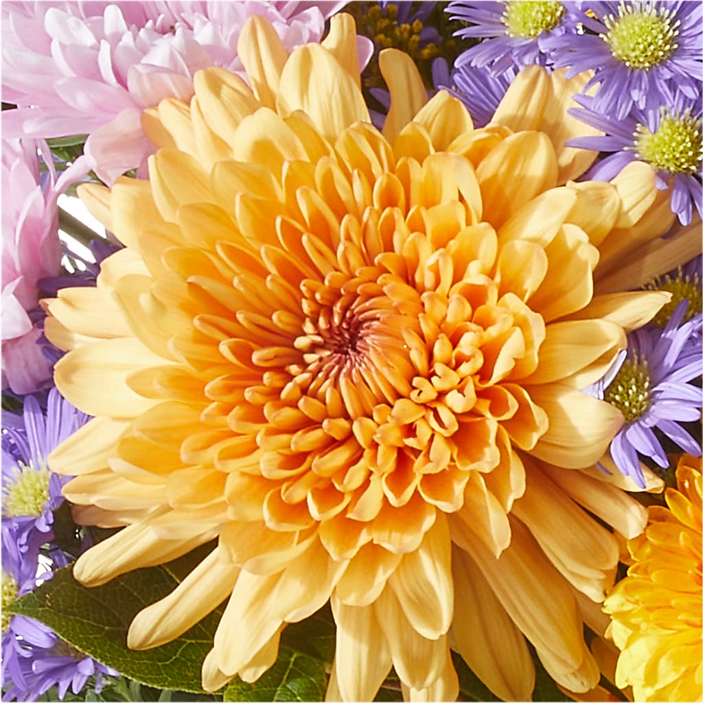 Countryside Bouquet – BURNETT'S FLOWERS & GIFTS, Tulsa OK