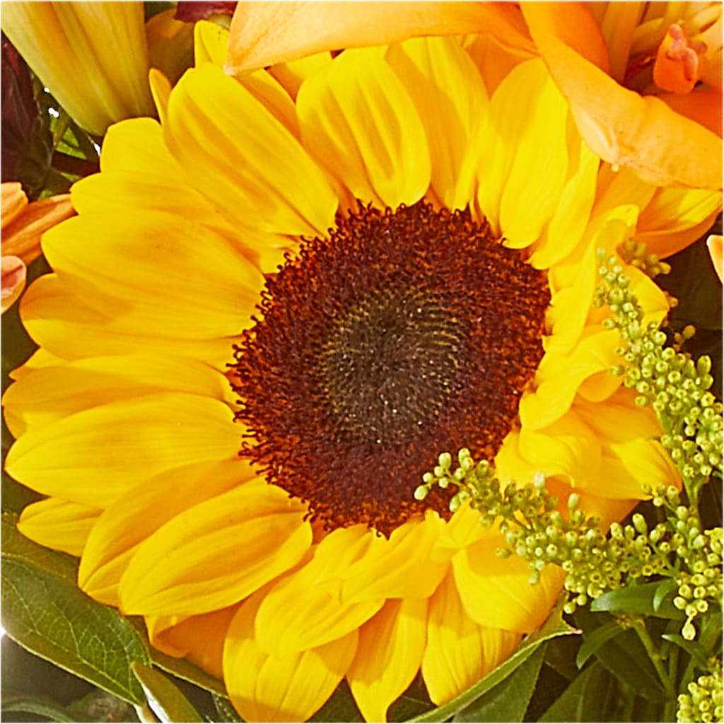 Seasons Change Bouquet – BURNETT'S FLOWERS & GIFTS, Tulsa OK