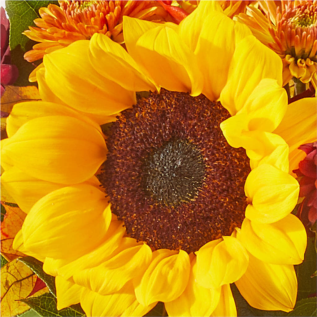 Sunny Side Bouquet – BURNETT'S FLOWERS & GIFTS, Tulsa OK