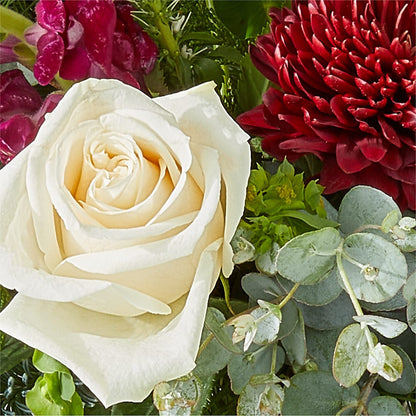 Cranberry Fizz Bouquet – BURNETT'S FLOWERS & GIFTS, Tulsa OK