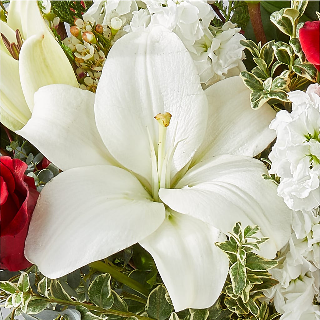 Twinkle Lights Bouquet – BURNETT'S FLOWERS & GIFTS, Tulsa OK