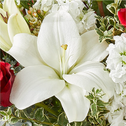 Twinkle Lights Bouquet – BURNETT'S FLOWERS & GIFTS, Tulsa OK