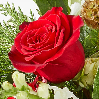 Deck the Halls Bouquet – BURNETT'S FLOWERS & GIFTS, Tulsa OK